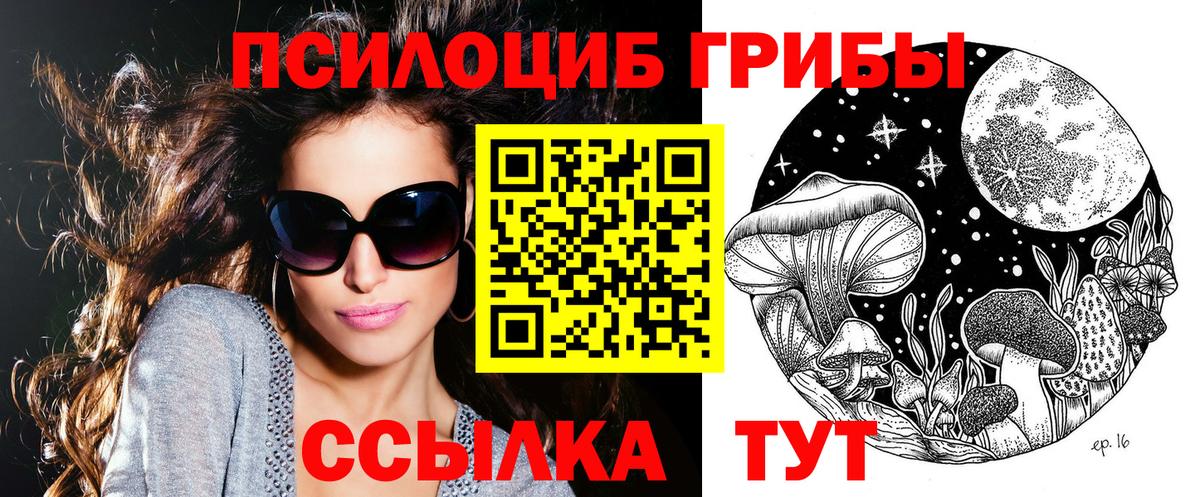 Волжский  Псилоцибиновые грибы прущие грибы  Вход с VPN 